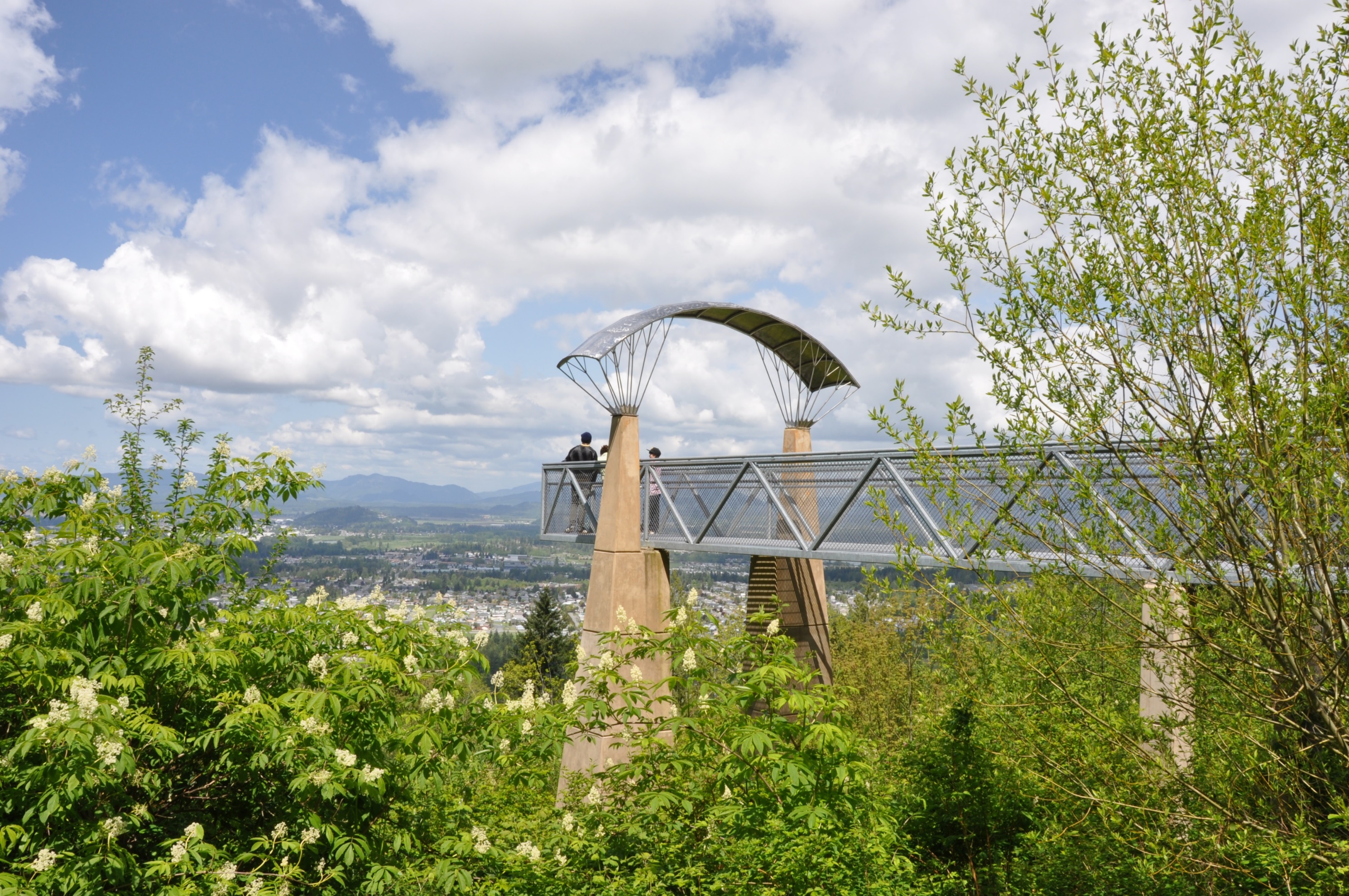 Little Mountain Viewpoint