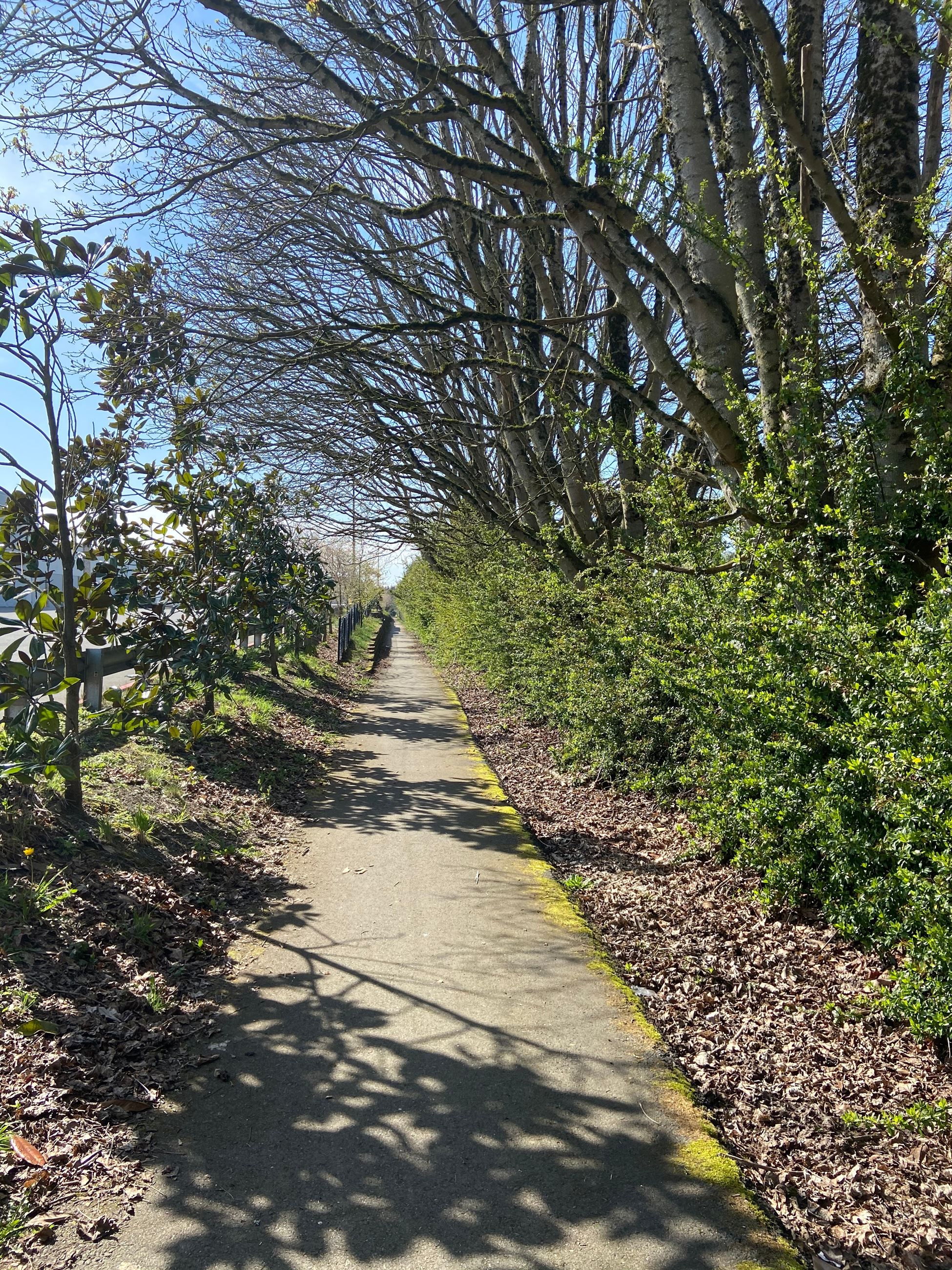 Riverbend Loop Trail