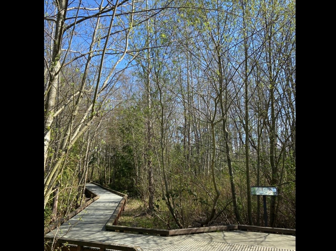Kiwanis Park Boardwalk