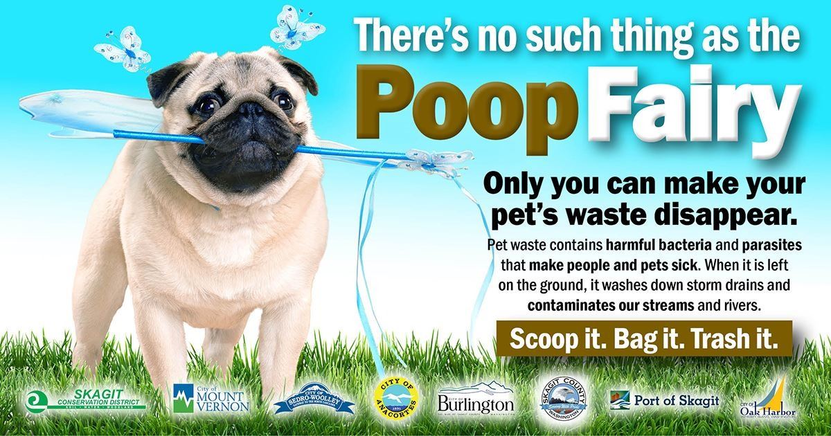 SCD Poop Fairy FBad jpeg