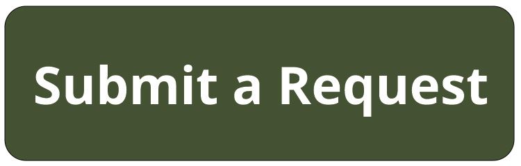 Submit Button Opens in new window