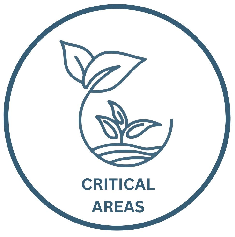 Critical Areas blue